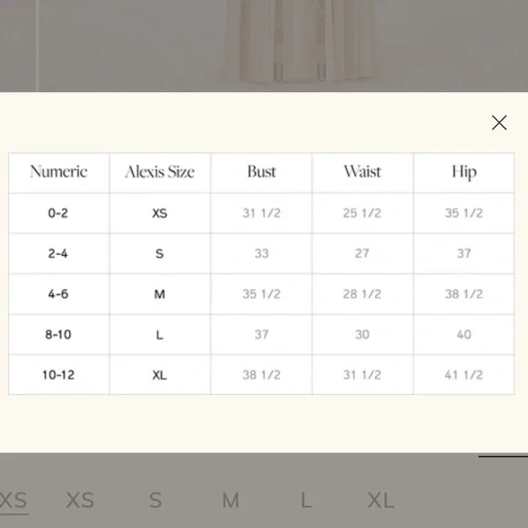 Unworn Alexis Natalina Dress ivory drop waist floral maxi dress size XL - Picture 8 of 8